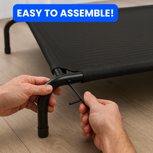 Steady Dog™ Elevated Comfort Dog Bed