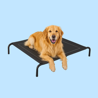 Steady Dog™ Elevated Comfort Dog Bed